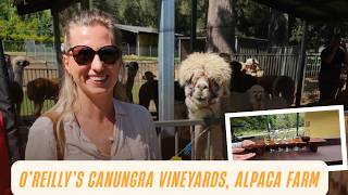 O'reilly's Canungra Valley Vineyards and Mountview Alpaca Farm, Scenic Rim
