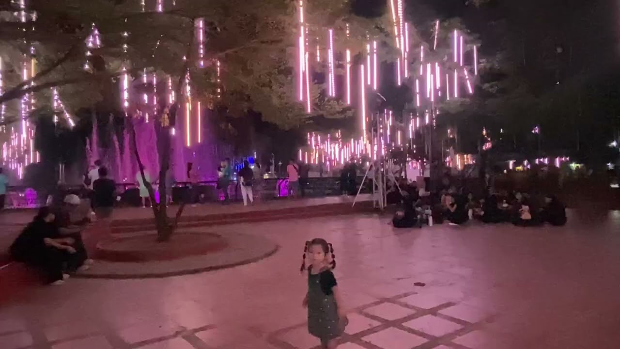 Allison | Gaston park Dancing lights 😍