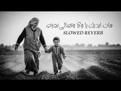 بالبطئ هات ايديك يا ولا الحاجة نبيلة