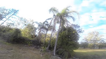 first flight with new betaflight 2.8.0