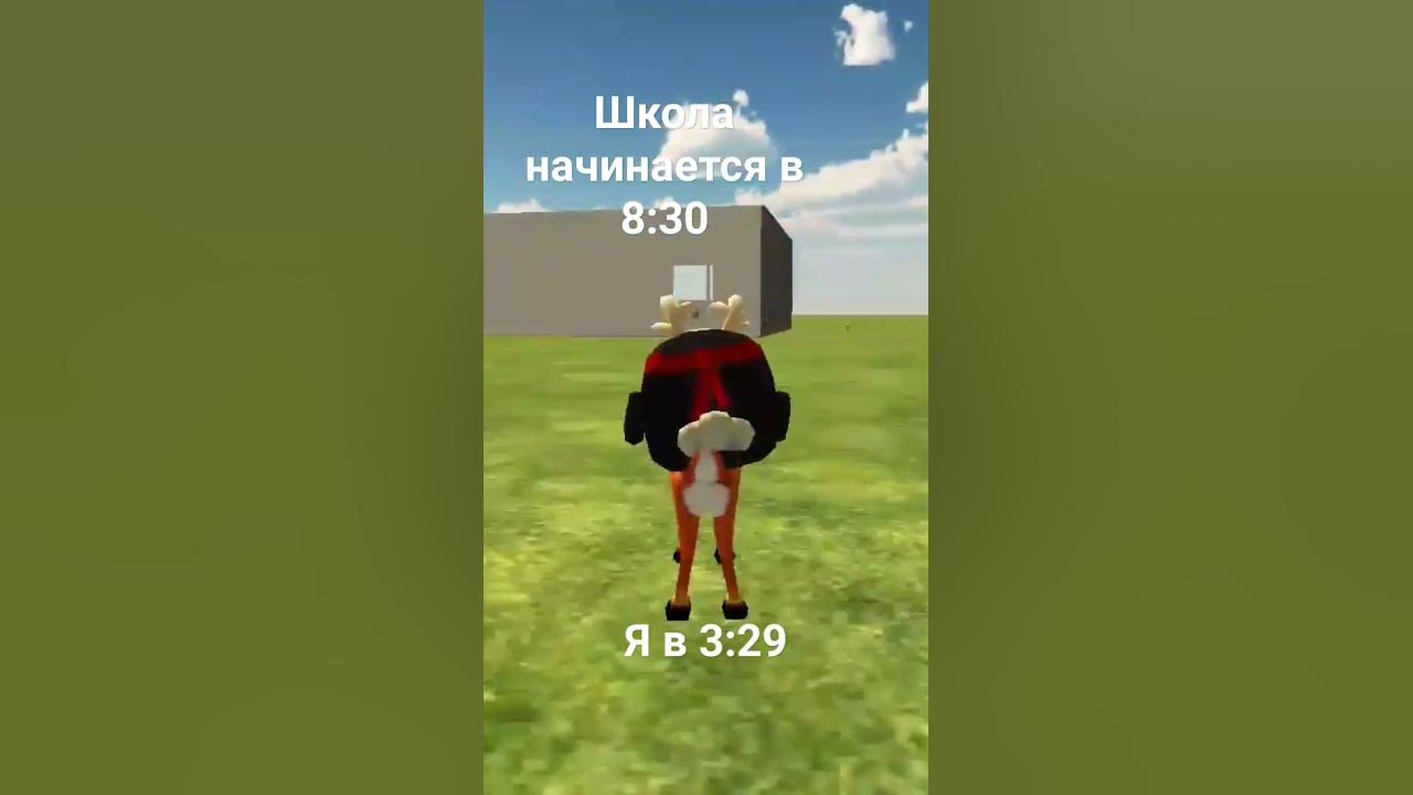гоншик - YouTube