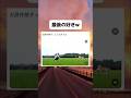 これずっと見れるなあ #おすすめ #おもしろ