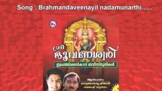 Brahmanda veenayil nadamunarthi - sree bhuvaneshwari