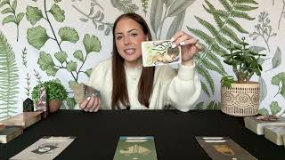 TAURUS LOVE TAROT | Spirit has an important warning about this connection! | FEBRUARY 2026