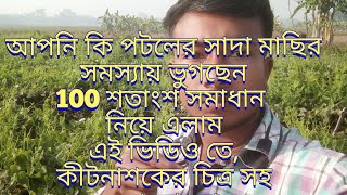 পটলের সাদা মাছি হাত থেকে রক্ষা পেতে 100 শতাংশ সমাধান নিয়ে এলাম এই ভিডিও তে,potol sada Mase