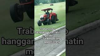 Over Green All Green  duet shorts golfclub