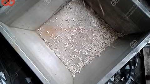 Almond|Peanut|Cashew|Nuts Strip Cutting Machine/Nuts Slivering Cutting Machine