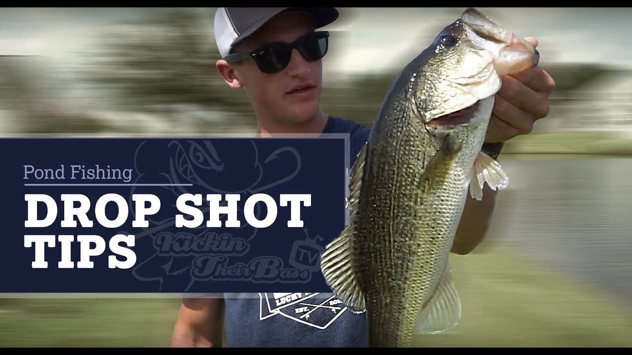 bass fishing at night Pond Fishing In My Backyard - Drop Shots