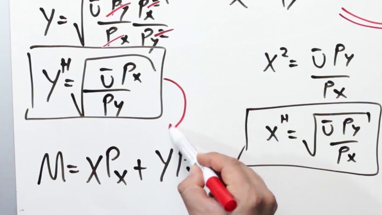 demanda hicksiana funcion del gasto minimo lema de shephard ejercicio resuelto