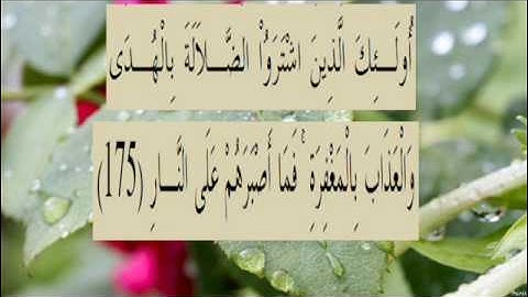 القران الكريم سورة البقرة الاية 175