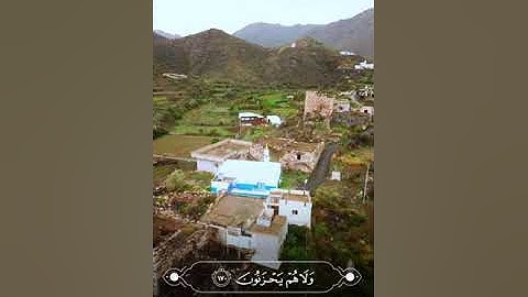 القارئ أنس المالك - ﴿وَلَا تَحۡسَبَنَّ ٱلَّذِینَ قُتِلُوا۟ فِی سَبِیلِ ٱللَّهِ أَمۡوَ ٰ⁠تَۢاۚ ﴾