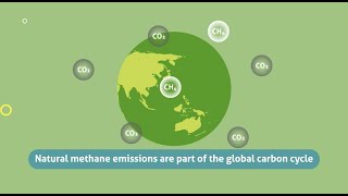 Wetlands and Methane