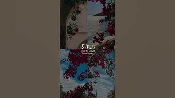 إن ينصركم الله فلا غالب لكم من سورة آل عمران بصوت ماهر المعيقلي