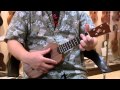 Luna LS-4とLuna LC-1（ウクレレの紹介）