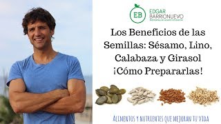 Los beneficios de las Semillas: Sésamo, Lino, Calabaza y Girasol ¡Las  Claves Saber Cómo Prepararlas! - YouTube