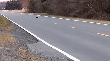 Arrma Senton 4s Speed run