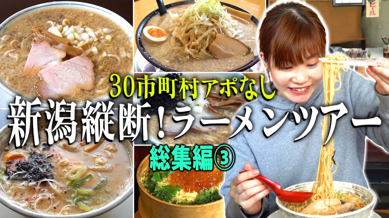【新潟縦断ラーメンツアー総集編③】加茂市、燕市、三条市、弥彦村、見附市をまとめたよ