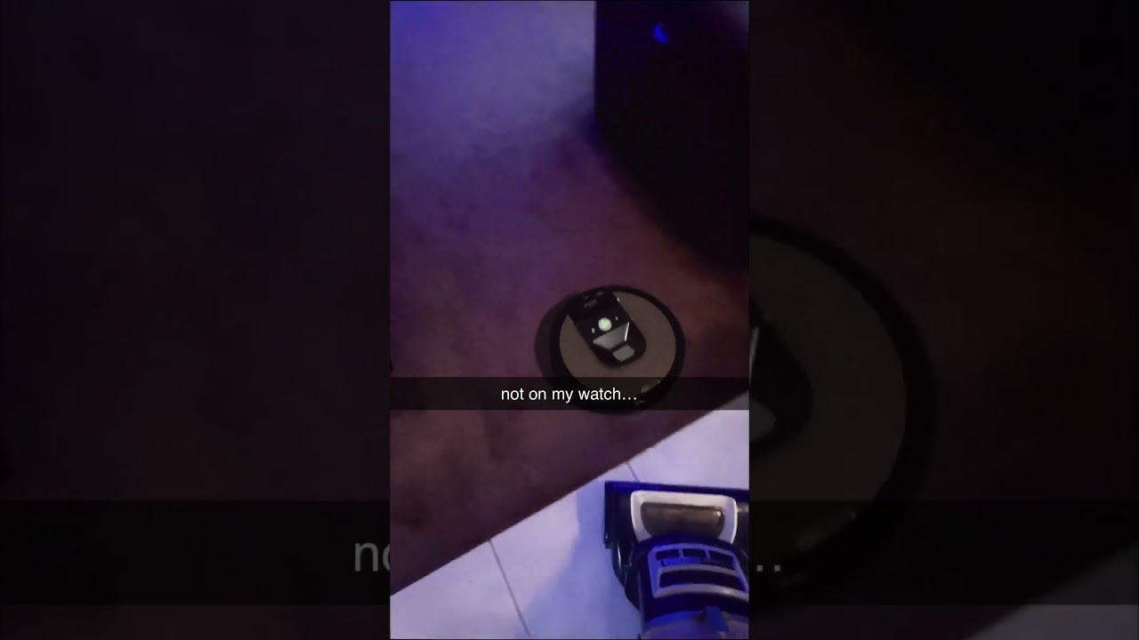 Can a Robot Vacuum Catch a Pet Spider?