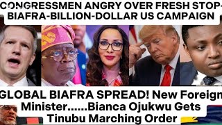 Bianca Ojukwu Gets Tinubu's Diplomatic Push To Fight Rising Global Spread Of Biafra ..US Congress 