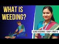 Crop Production and Management | Class 8 Science Chapter 1 | Part 6