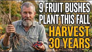 9 Fruit Bushes the Garden Centers Hide in Fall (Plant Them Now)
