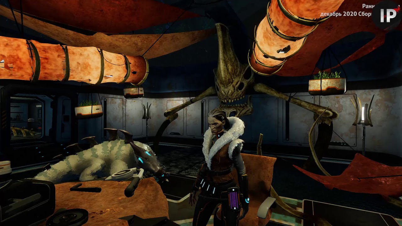 Зимнее водоплавание - YouTube