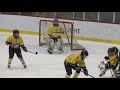 Match d’ouverture, Tournoi Pee-Wee Neige Rivière-du-Loup, 2e période, 25 Janvier 2019