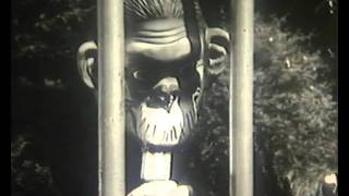 Olá - Kinky IV