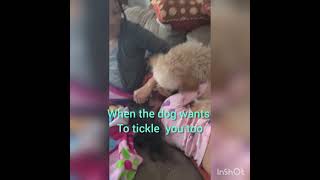 Then dog that wants  to tickle  too.