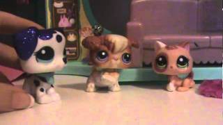 lps: Sleep Over! (Part 2) RANDOMNESS With AWSOMENESS!!!