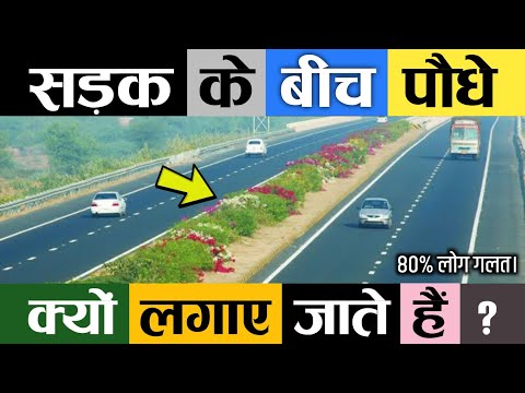 वीडियो: टिम्बरलाइन के ऊपर कोई पेड़ क्यों नहीं हैं?