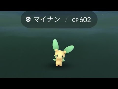 ポケモンgo 色違い大量発生 マイナンとプラスルの色違い Pokemon Go Youtube