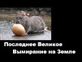 Последнее Великое Вымирание на Земле!