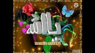 أغنية السلام عليك  يانبي بصوت #سنا الشام