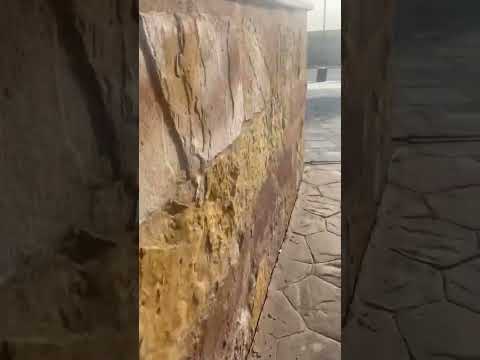 جولة الرياض حديقة حي النخيل