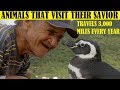 Top 10 Freed Animals That Visit The Human That Saved Them
