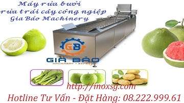 Máy rửa bưởi, Máy rửa trái cây công nghiệp công suất 1 tấn đến 5 tấn - inoxsg.com