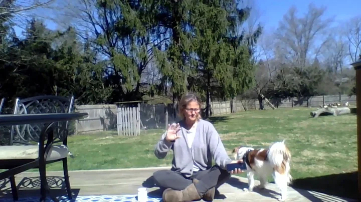 CoVID 19 meditation simple meditation for the times1