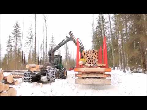 Лесовоз MEGA на делянке в Вологодской области. Timber truck in the Vologda region, Russia Лесовоз MEGA на делянке в Вологодской области. Timber truck in the Vologda region, Russia