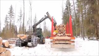 ⁣Лесовоз MEGA на делянке в Вологодской области. Timber truck  in the Vologda region, Russia