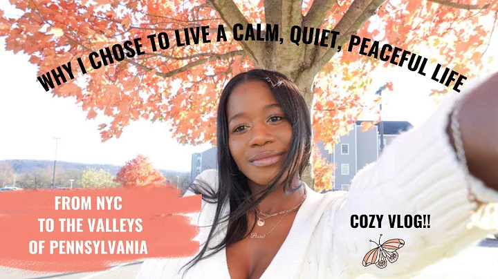 FROM NYC TO PENNSYLVANIA: WHY I CHOSE TO LIVE A CA...