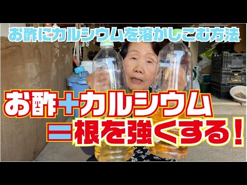 カルシウム抽出お酢作り方 Youtube