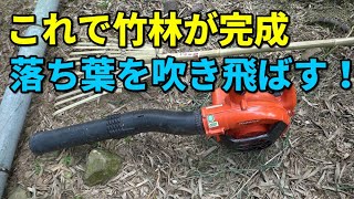 竹林整備完成ブロワーで落ち葉掃除