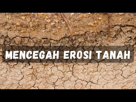 Video: Bagaimana cara kerja erosi sungai?