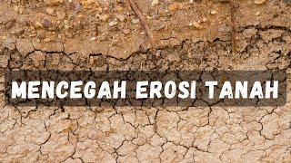 5 Cara Mencegah Erosi Tanah