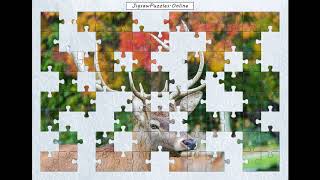 Jigsaw Puzzle - Deer screenshot 4