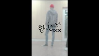 빅스(VIXX) - 향 (Scentist) Vertical Cam (LEO Focus)