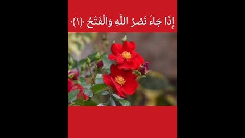 سورة النصر بصوت الشيخ سعد الغامدي    Sura  An-Nasr