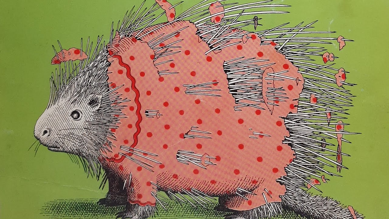 Animals Should Definitely NOT Wear Clothing. - YouTube
