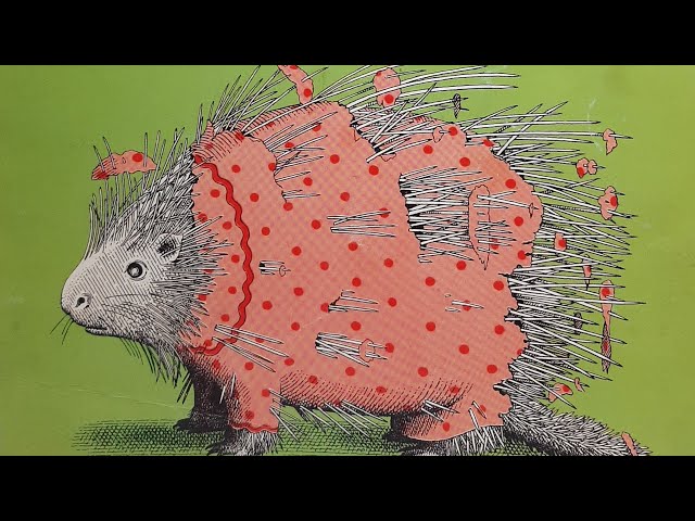 絵本・児童書 292 Animals Should Definitely Not Wear Animals Should Definitely Not Wear Clothing. | Book by Judi